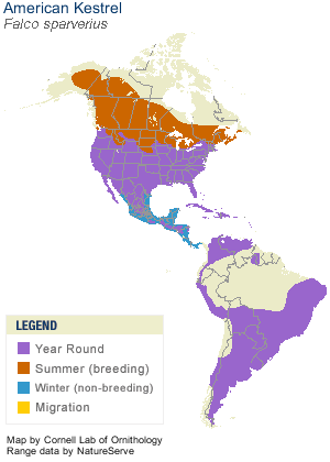 American Kestrel Distribution Map