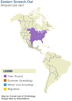 Eastern Screech Owl Distribution Map