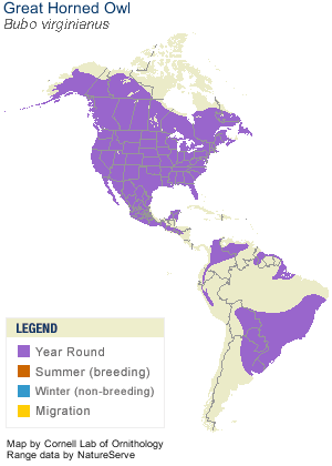 Great Horned Owl Distribution Map