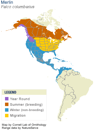 Merlin Migration Map